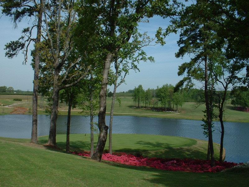 Best Western Canton Inn Facilidades foto